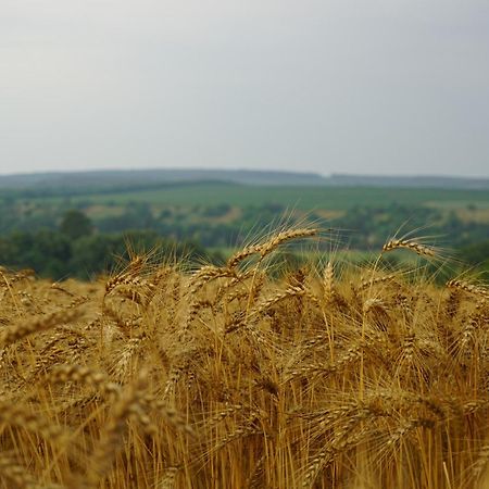 فيلا Ferienhaus Plattensee/Balaton Szolad المظهر الخارجي الصورة